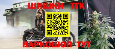 Альфа ПВП Будённовск