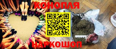Альфа ПВП Будённовск