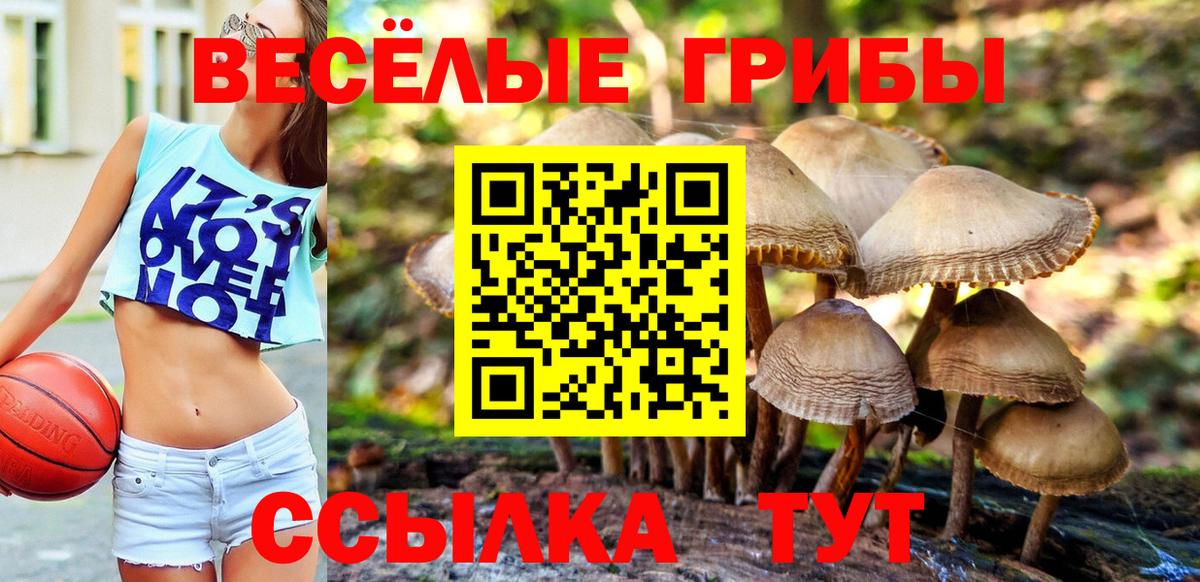 Псилоцибиновые грибы Magic Shrooms  Галлюциногенные грибы Psilocybine cubensis  Тутаев  Вход с VPN 